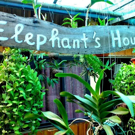 Elephant House - Duong Lam Homestay